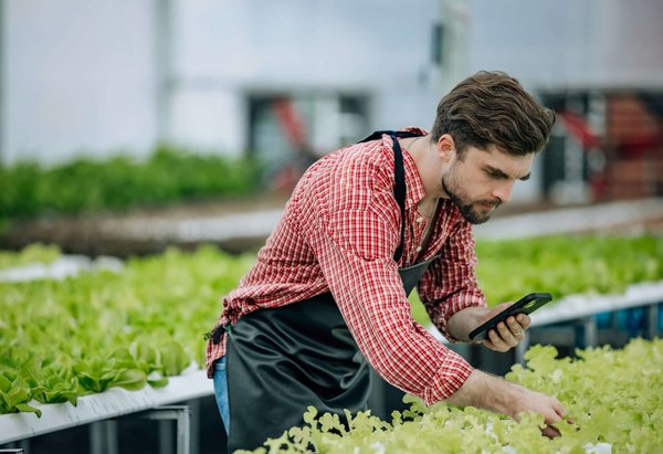 Les atouts de l'agroforesterie pour rentabiliser un terrain